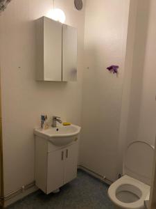 Lägenhet/Apartment Krylbo, Avesta Sweden tesisinde bir banyo