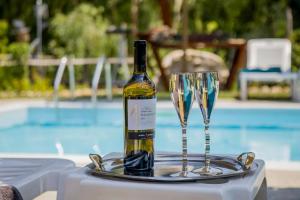 Drykkir á Alexander Aqua Oasis - Poolside Garden Getaway