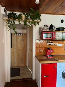 Il comprend une cuisine équipée d'un lave-linge et d'une armoire rouge. dans l'établissement Love Shack, à Balatonudvari