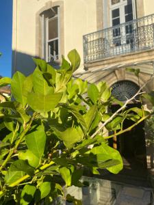 Fotografia z galérie ubytovania Le Jardin v destinácii Aspiran