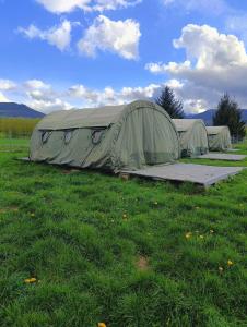 duas tendas verdes sentadas num campo de relva em Camp66 em Karpacz