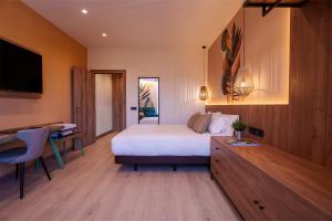 um quarto de hotel com uma cama, uma secretária e uma televisão em Hotel Ciudad de Burgos em Rubena