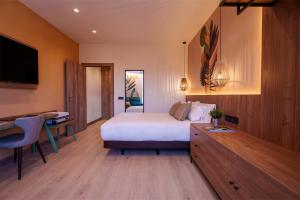 a hotel room with a bed and a desk and a television at Spirit Hotel Ciudad de Burgos in Rubena