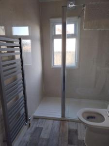 a bathroom with a shower and a toilet and a window at Fully refurbished holiday Chalet in withernsea in Withernsea