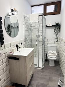 W łazience znajduje się toaleta, umywalka i lustro. w obiekcie Apartamentos Val de Comillas w mieście Comillas