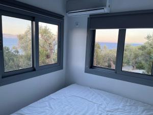 ein Schlafzimmer mit zwei Fenstern und einem Bett darin in der Unterkunft Daphne Tiny House in Argalasti