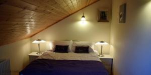 a bedroom with a bed with two lamps on both sides at Cleggan 318 Atlantic Lodge in Cleggan