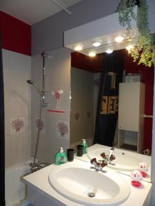 uma casa de banho com um lavatório, um chuveiro e um espelho. em Charmant appartement T2 avec Balcon em Saint-Cyprien