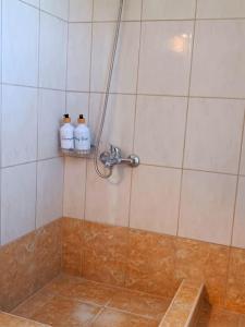 a shower with two shampoo bottles on the wall at Nikola's apartments_King Pyrros in Palio Limani
