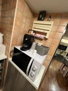 un forno a microonde seduto su un bancone in cucina di La Maison Dell'Amour a Boville Ernica