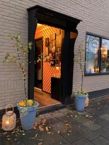 two potted trees in pots in front of a building at Slapen op 77 in Nieuwe-Niedorp