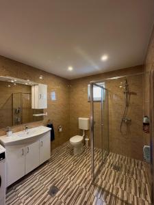 a bathroom with a shower and a toilet and a sink at Guest House Ana Marija in Ljubuški