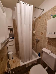 uma casa de banho com uma cortina de chuveiro e um WC em Fewo Zimdahl 2 mitte em Kellenhusen