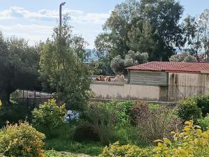 a group of animals sitting on top of a wall at ΟΔΥΣΣΕΙΑ, κοντά σε αεροδρόμιο, λιμάνια και θάλασσες in Keratea