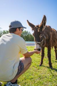un hombre está acariciando un burro en un campo en Burro Ville by Host Wise, en Portimão 49 fotos más
