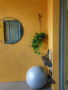 a mirror on the side of a wall with a plant at Wharf-view Waterfront Apartment in Darwin