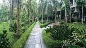O grădină în afara SDD Bamboo Village Resort