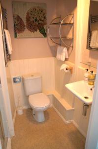 een kleine badkamer met een toilet en een wastafel bij Radcliffe Guest House in Ross on Wye