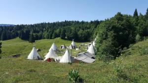 een groep tenten in een veld met bomen bij Village Tipi in La Féclaz