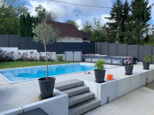 a swimming pool with three potted trees in pots next to a pool at Superbe villa avec piscine proche de belfort in Meroux