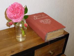 a vase with a flower and a book on a table at Domaine du Fief aux Dames in Monnières