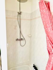 eine Dusche mit rosa Duschvorhang im Bad in der Unterkunft Charmante maison de montagne à Pramorel, Prorel, Briançon, Serre-Chevalier in Briançon