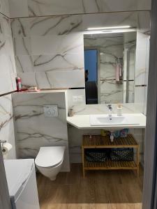 a bathroom with a sink and a toilet and a mirror at Apartament AMBRA II in Jantar