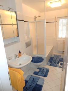 a bathroom with a sink and a shower and a toilet at Ferienwohnung Ahorn in Waldshut-Tiengen