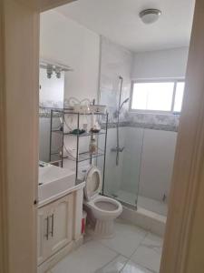 y baño con aseo, lavabo y ducha. en Appartamento Aruba Juan Dolio fronte mare, en Juan Dolio