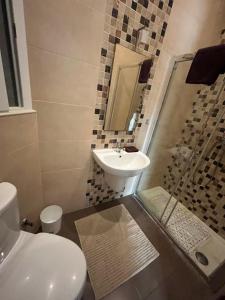 Tal-Għoqod的住宿－Swieqi Centre - Perfectly Located，浴室配有卫生间、盥洗盆和淋浴。