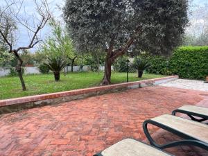 Taman di luar Affittacamere D’annunzio