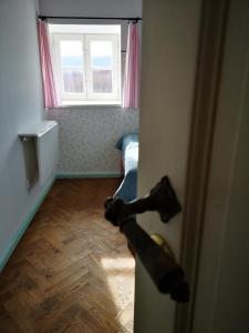una habitación con un perro sacando la cabeza de una puerta en Sezonowa. Noclegi i chleb, en Kłopotnica
