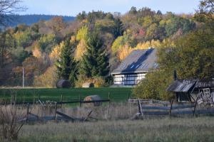 un antiguo granero en medio de un campo en Sezonowa. Noclegi i chleb, en Kłopotnica