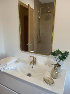 a bathroom sink with a mirror and a plant on it at A Casa de Buxacos in Arzúa