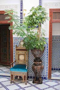 a chair and a vase with a plant in a room at Dar Dalila Fes in Fès