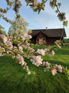 a tree with pink flowers in front of a house at Miejsce po Dworze in Polana