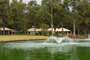 a duck swimming in a pond with a fountain at Newly Renovated Central Private Studio in Pokolbin