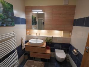 Koupelna v ubytování Apartma Velesa + 12 fotografií