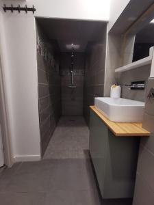uma pequena casa de banho com um lavatório e um chuveiro em Appartement cosy aux Beaux-arts em Montpellier