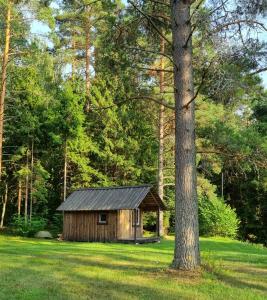 una pequeña cabaña de madera en un campo junto a un árbol en Oandu Camping, en Oandu