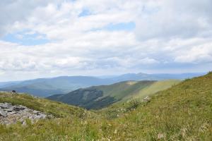 a view of the mountains from the top of a hill at Miejsce po Dworze in Polana