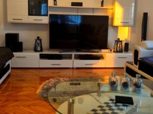 uma sala de estar com uma grande televisão de ecrã plano em Nani Apartman - Banja Ždrelo em Malo Laole