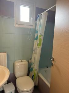 ein Badezimmer mit einem WC, einem Waschbecken und einem Duschvorhang in der Unterkunft Villa Platania in Palaiokómi