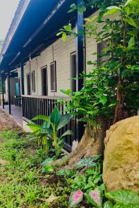 a building with a blue roof and a plant at Payag in El Nido