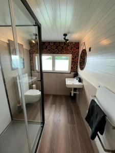 a bathroom with a toilet and a sink and a mirror at Ferienhaus Bergträumli (Keine direkte Zufahrt) in Gommiswald