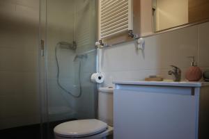 uma casa de banho com um chuveiro, um WC e um lavatório. em Casa-museo Genia Trigo em Sober