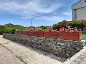 a stone retaining wall with flowers on it at BBrezza Marina in Stintino