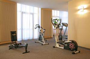 Het fitnesscentrum en/of fitnessfaciliteiten van Hotel Royal