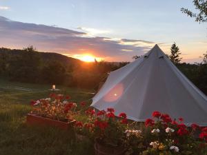 Gallery image of Glamp-Inn Kapolcs in Kapolcs