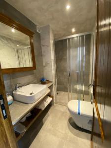 uma casa de banho com um lavatório, um chuveiro e um WC. em MAVİ AT HOTEL Blue Horse em Gümüşdere